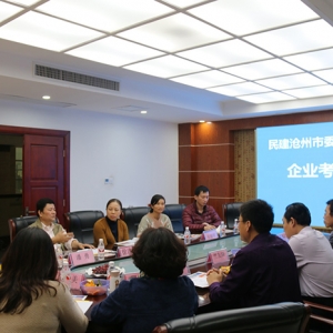 滄州民建考察團(tuán)、南寧市民建調(diào)研組——行來我集團(tuán)參觀考察 ... ...