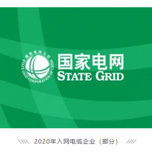 祝賀縱覽線纜集團(tuán)成功進(jìn)入國(guó)家電網(wǎng)供應(yīng)商名錄，成為廣西唯一一家進(jìn)入國(guó)網(wǎng)的電線電纜供 ...