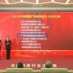 喜報(bào)！縱覽線纜集團(tuán)榮膺 “中國線纜產(chǎn)業(yè)最具競(jìng)爭(zhēng)力企業(yè)100強(qiáng)” ...