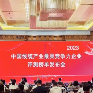 中國(guó)線纜產(chǎn)業(yè)最具競(jìng)爭(zhēng)力企業(yè)100強(qiáng)發(fā)布：縱覽線纜連續(xù)五年上榜！